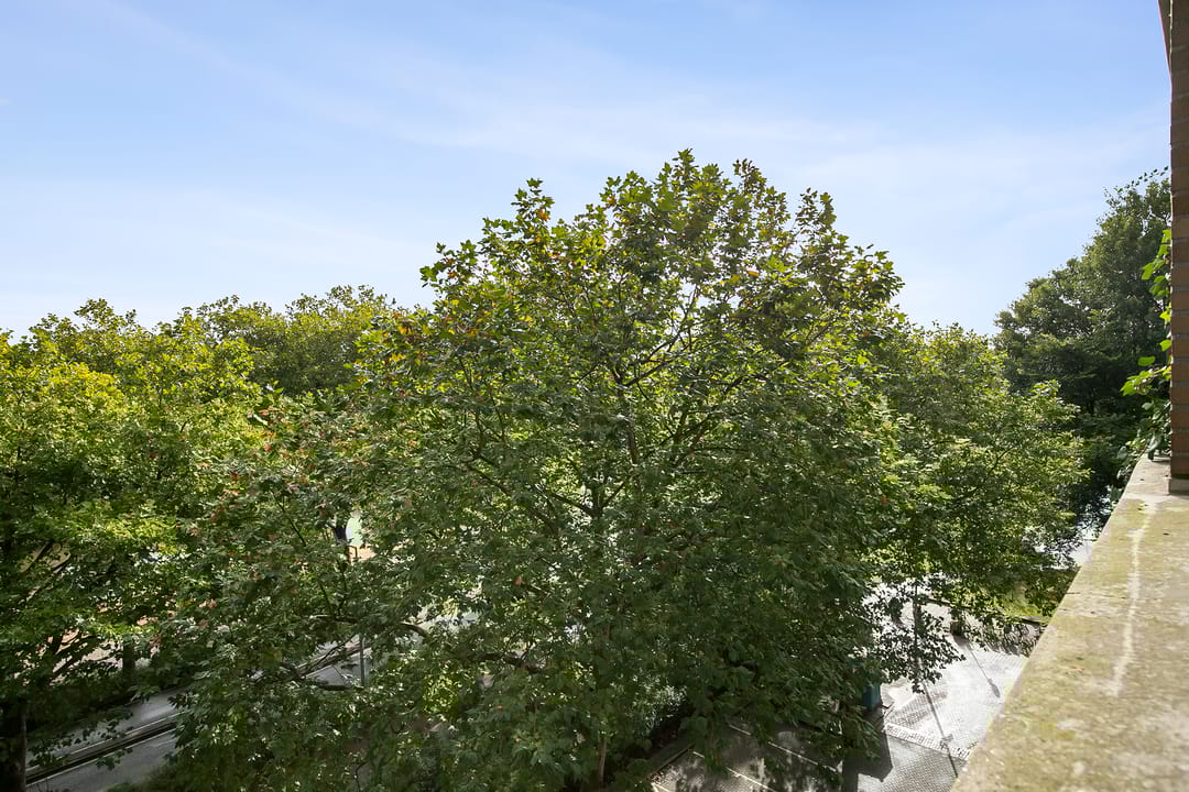 Foto 23 van Schapendreef 205