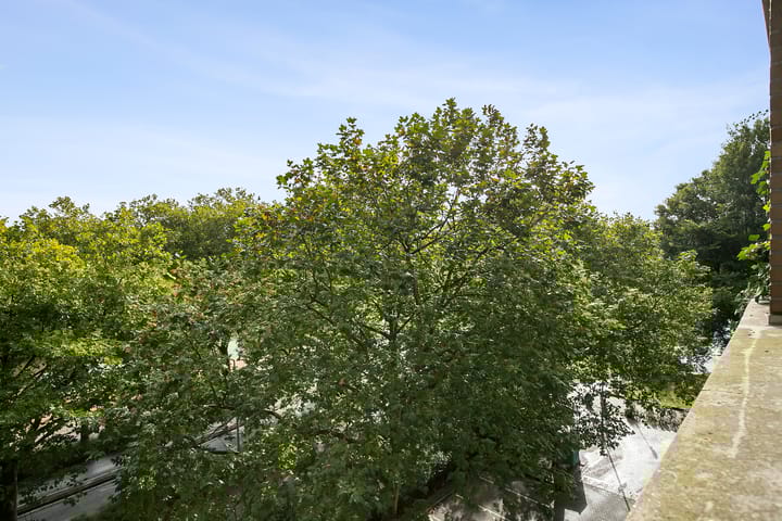 Foto 23 van Schapendreef 205