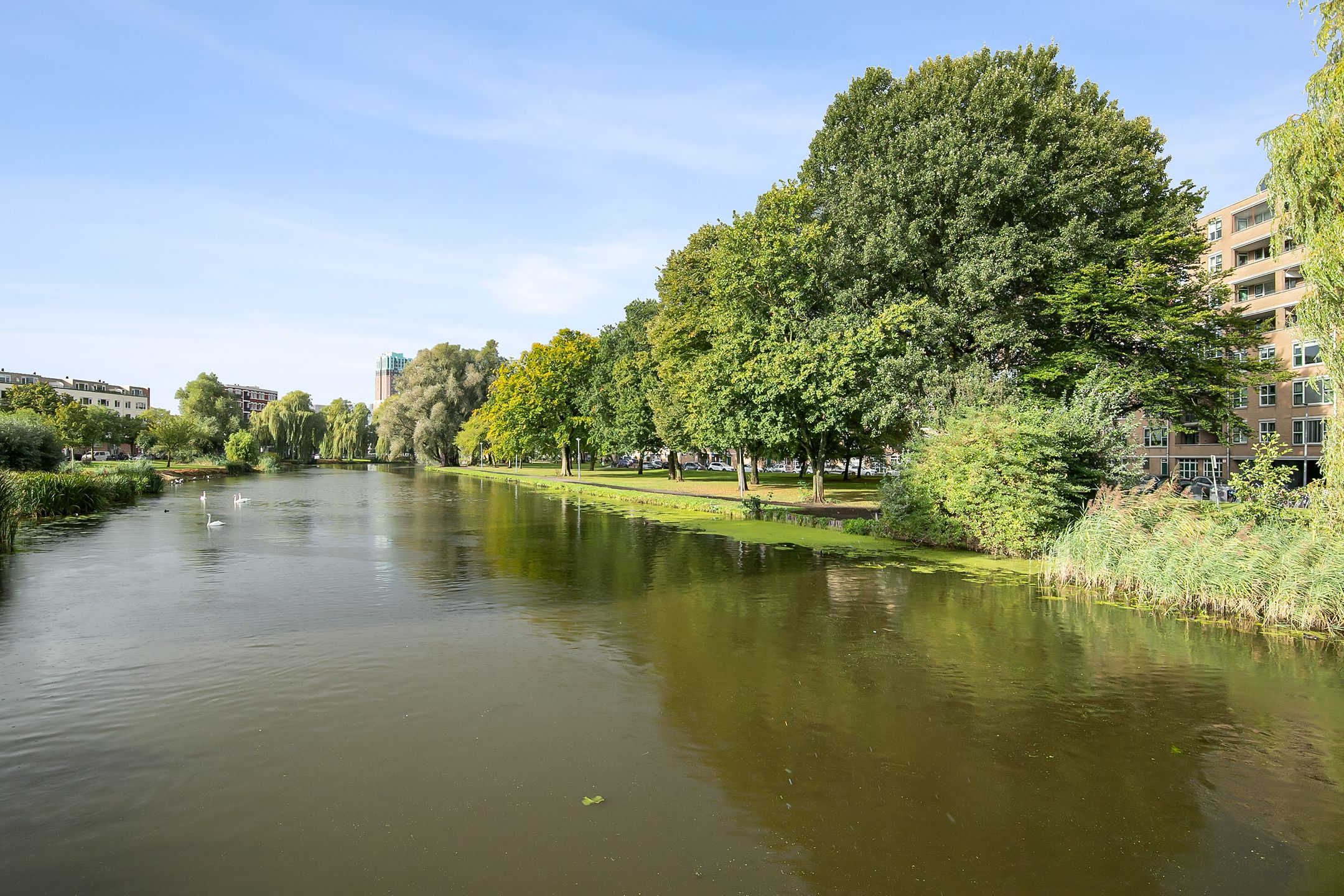 Foto 24 van Schapendreef 205