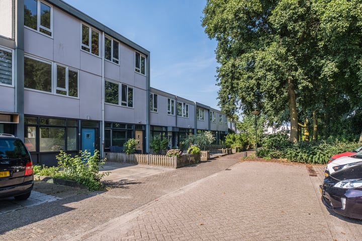 Bekijk foto 2 van De Niers 4