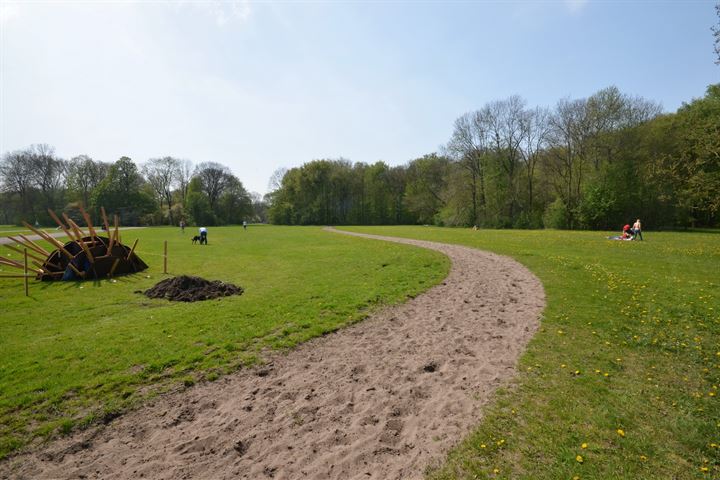 Bekijk foto 40 van Doornburg 132