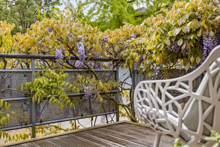 Foto 18 van Jeroen Boschtuin 7