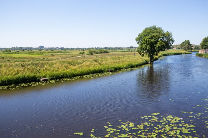 Foto 42 van Jeroen Boschtuin 7