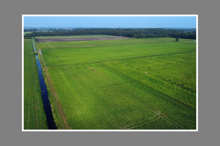 Foto 32 van Vuurdoornstraat 1