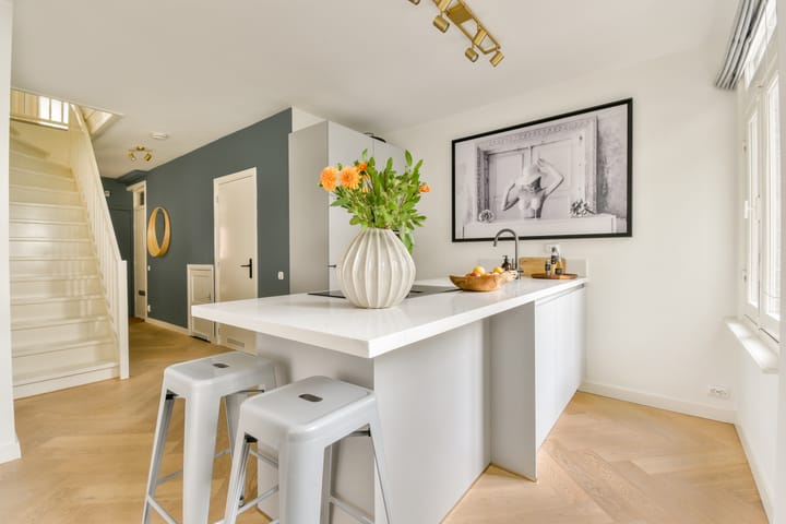 Foto 2 van Karel du Jardinstraat 17-1