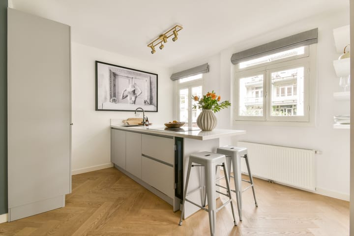 Foto 9 van Karel du Jardinstraat 17-1