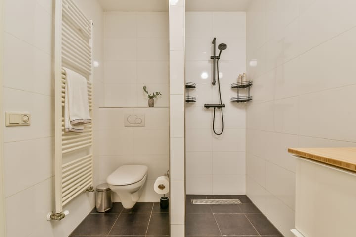 Foto 23 van Karel du Jardinstraat 17-1