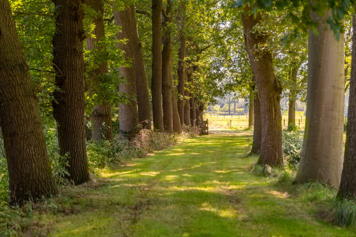 Photo 42 of Hupselse Esweg 3