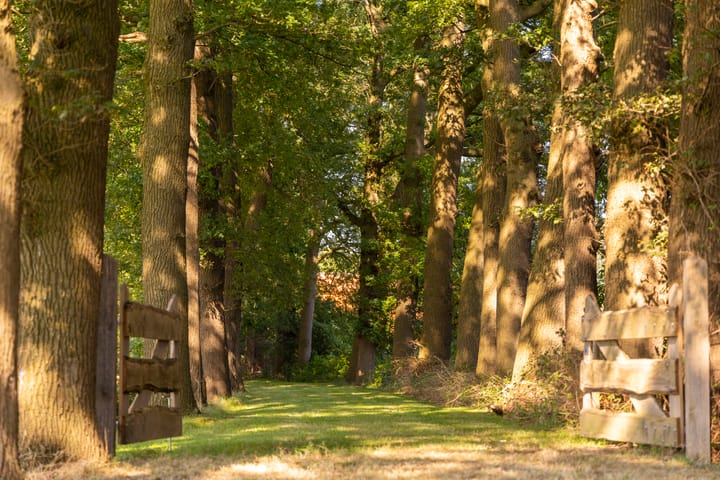 Photo 43 of Hupselse Esweg 3