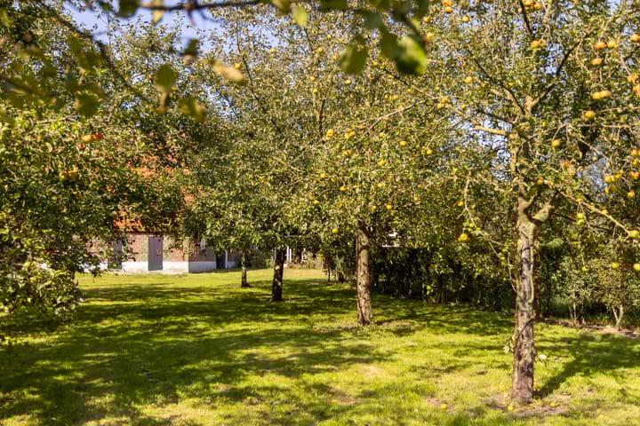 Photo 33 of Hupselse Esweg 3