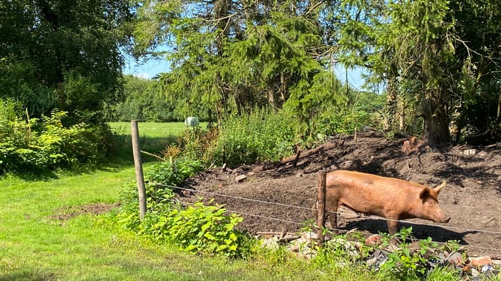 Foto 76 van Hullenweg 18