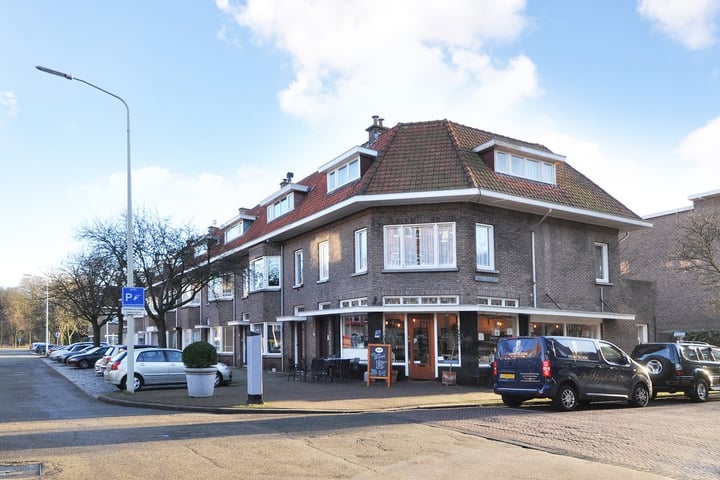 Bekijk foto 44 van Van Hoytemastraat 18