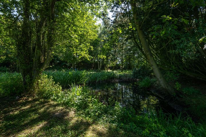 Bekijk foto 50 van Oude Nieuwlandseweg 23-A