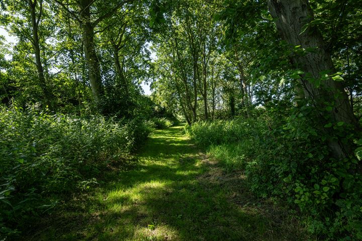 Bekijk foto 56 van Oude Nieuwlandseweg 23-A