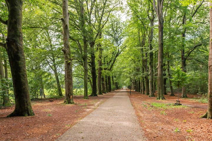 Bekijk foto 37 van Arnhemsebovenweg 159