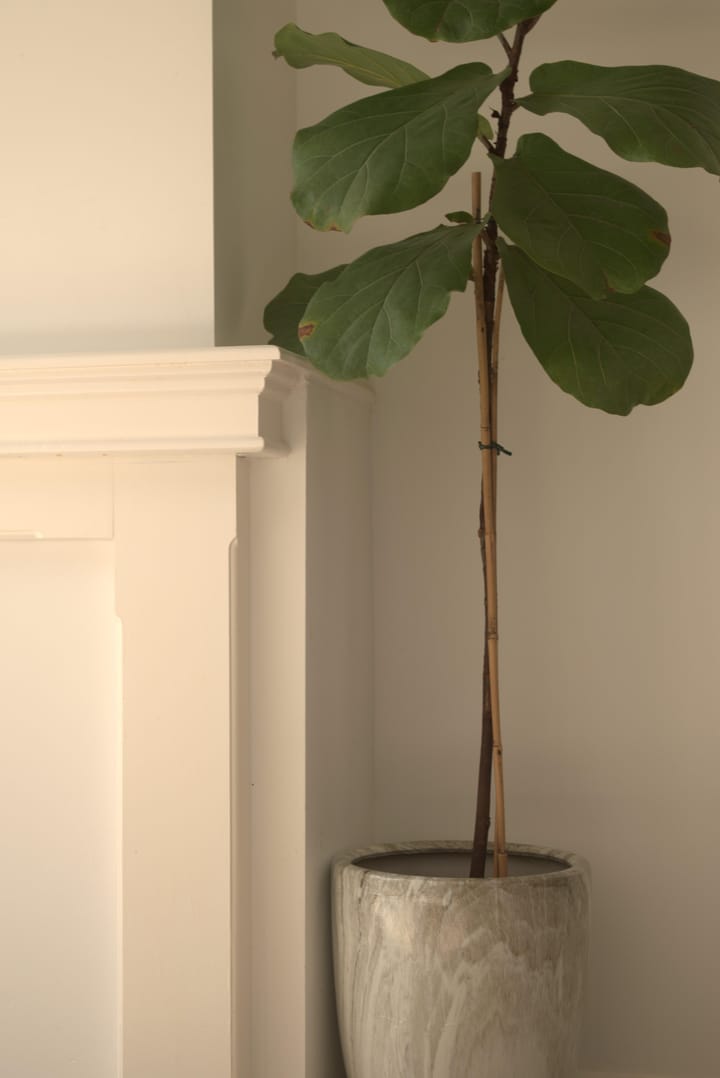 Foto 6 van Hollanderstraat 41-A