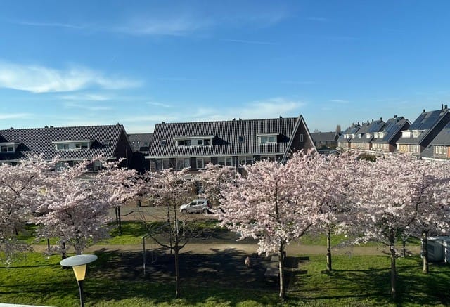 Foto 38 van Ruisvoornlaan 3