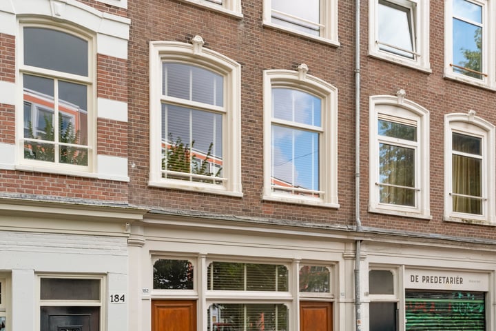 Bekijk foto 5 van Gerard Doustraat 182-1