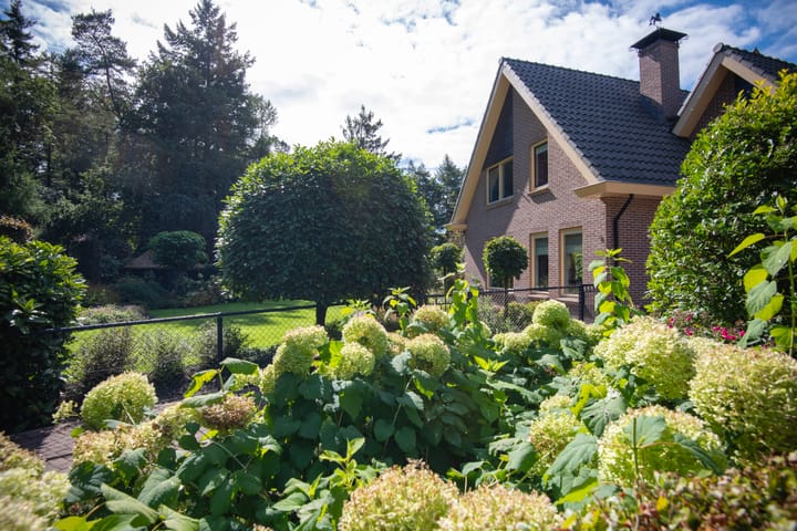 Foto 3 van Nieuwe Prinsenweg 5