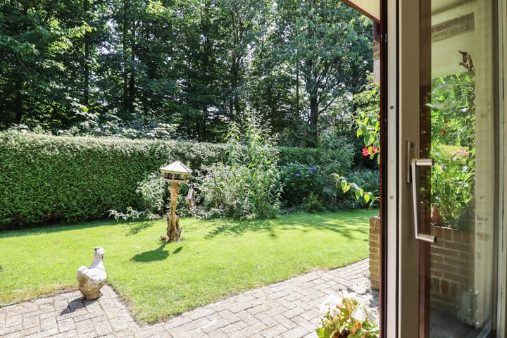 Foto 20 van De Rival 74