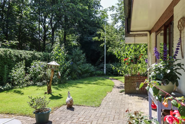 Foto 51 van De Rival 74