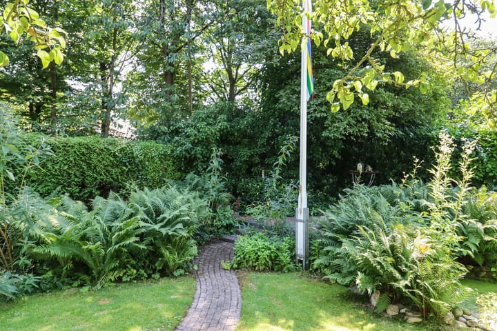 Foto 55 van De Rival 74