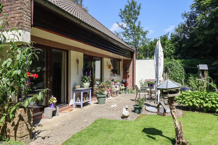 Foto 60 van De Rival 74