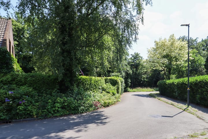 Foto 66 van De Rival 74