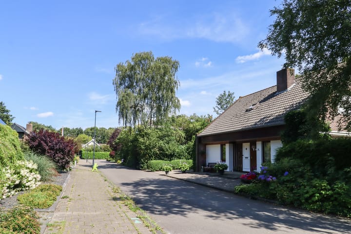 Foto 67 van De Rival 74