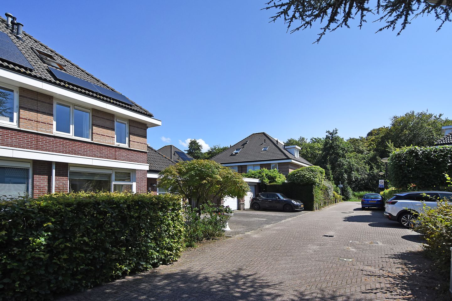 Photo 5 of Alexine Tinnepad 69