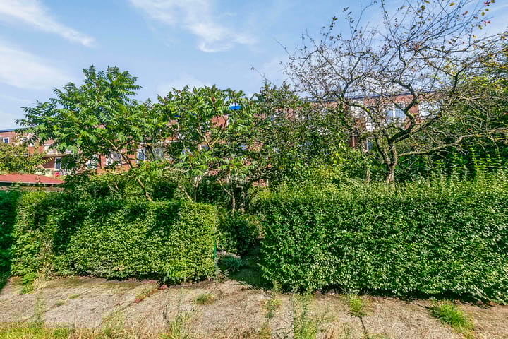 Foto 23 van Paul Krugerstraat 440