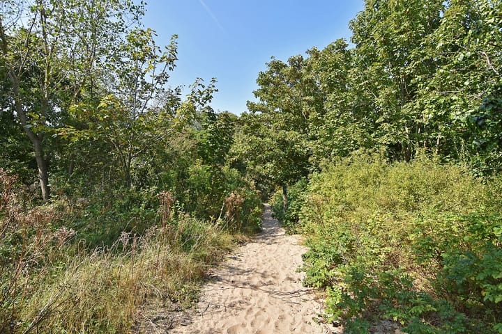 Foto 32 van Duivelandsestraat 45