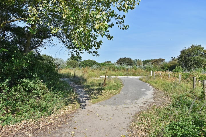 Foto 34 van Duivelandsestraat 45