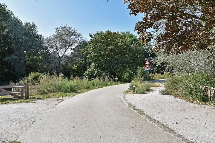 Foto 35 van Duivelandsestraat 45