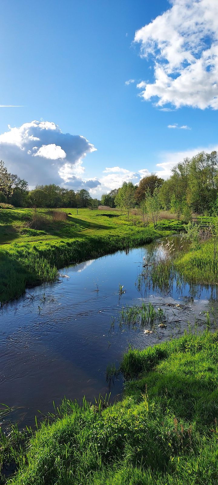 Foto 6 van Aelderstraat 1-E