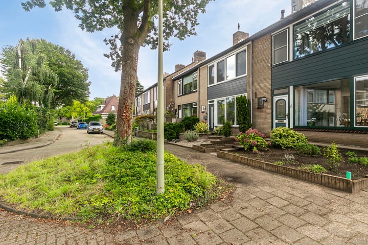 Foto 31 van de Veldkamp 17