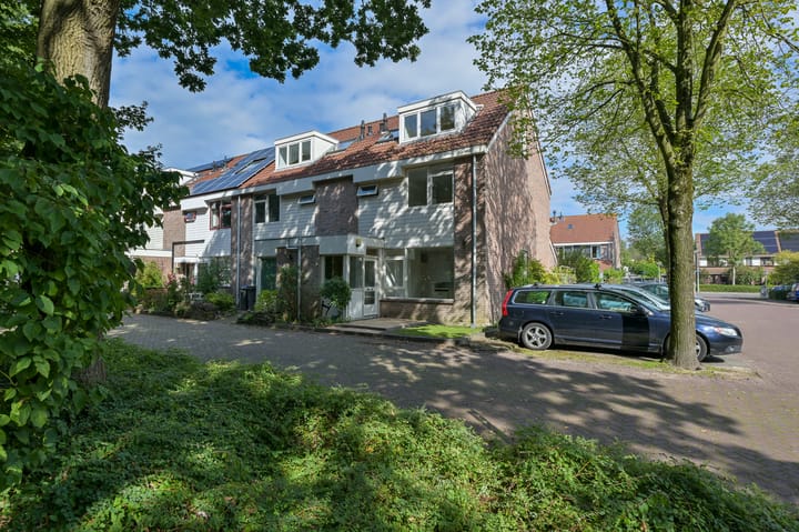 undefined main image