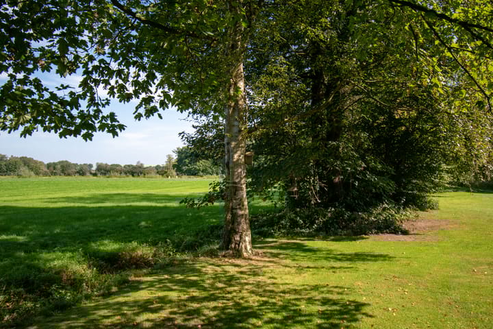 Photo 26 of Gronausestraat 319