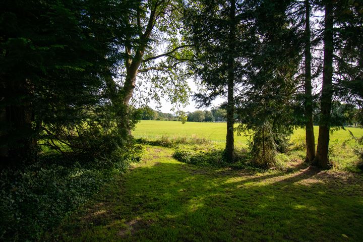 Bekijk foto 36 van Gronausestraat 319