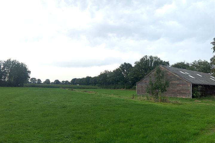 Kwikkels 5, Steenwijkerwold