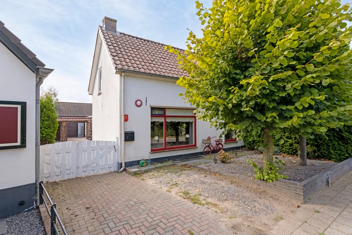 undefined main image