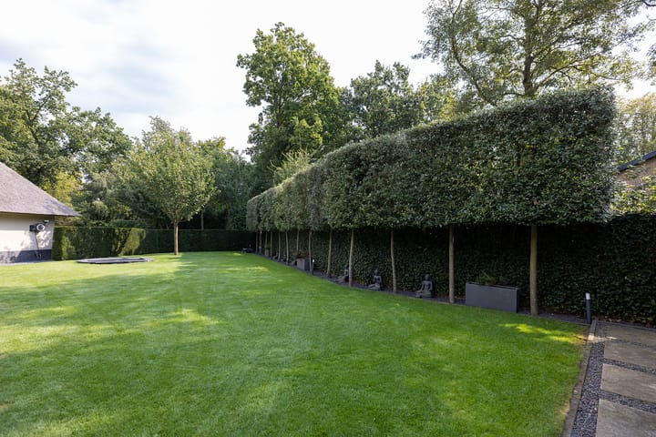 Foto 90 van Wijtgraaf 40