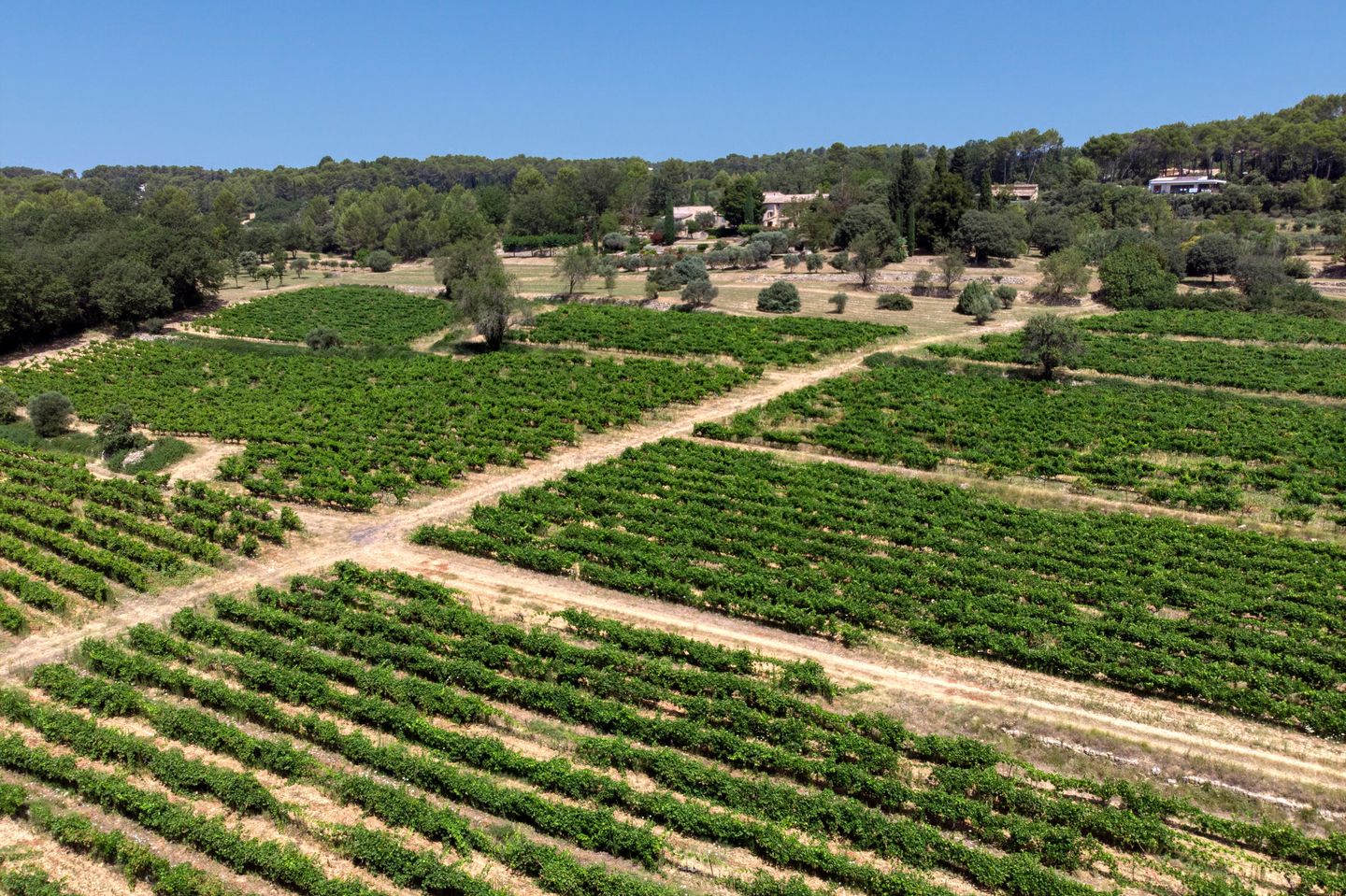 Foto 25 van Domaine Lorgues haut-Var