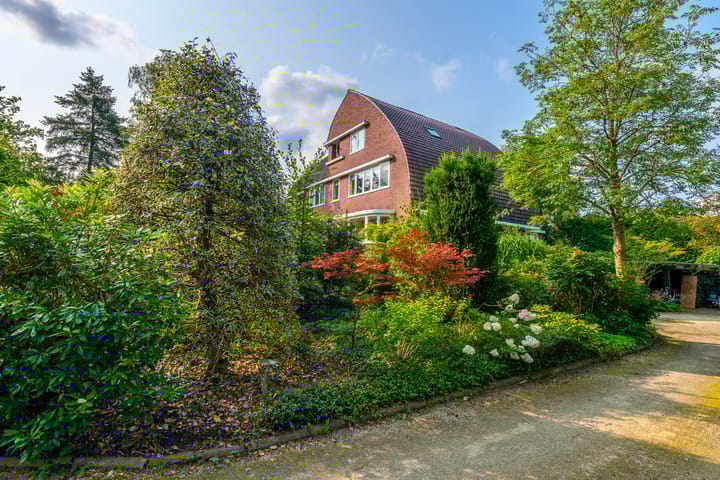 Foto 3 van Utrechtseweg 48-D