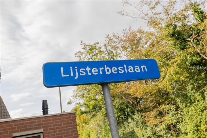 Bekijk foto 22 van Lijsterbeslaan 63