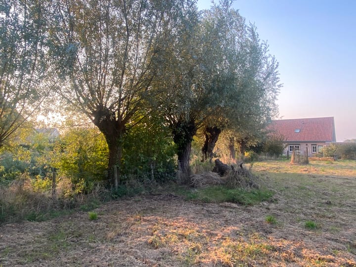 Foto 12 van Steeweg 44