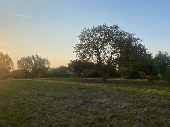 Foto 5 van Steeweg 44