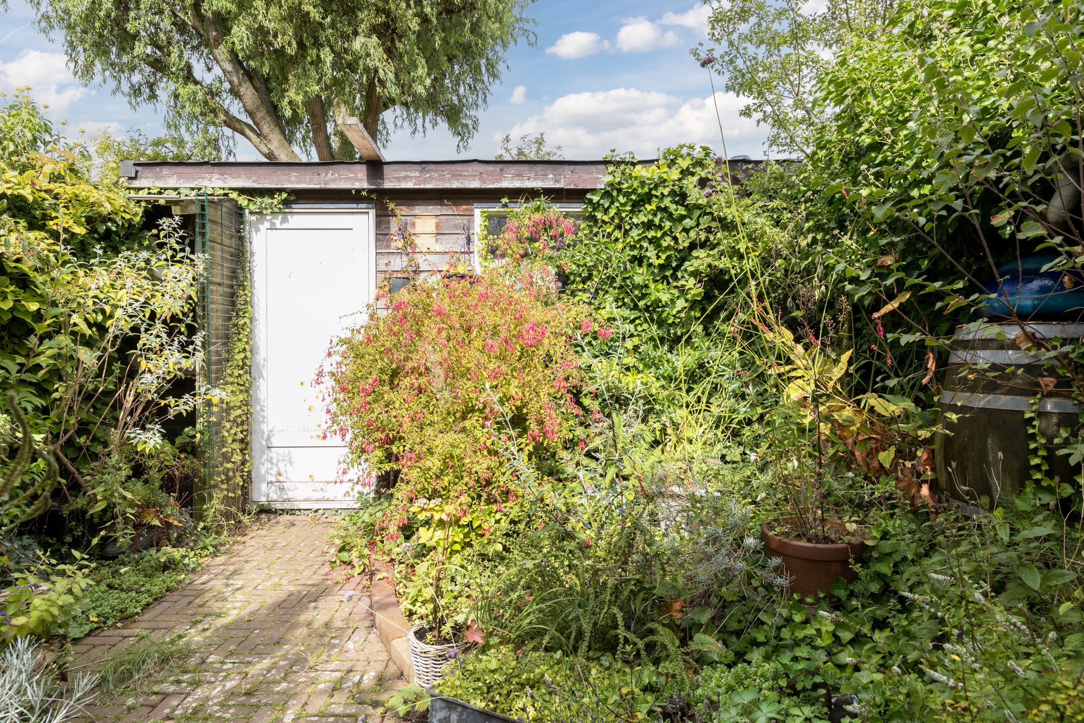 Foto 24 van Pieter Jelles Troelstralaan 99