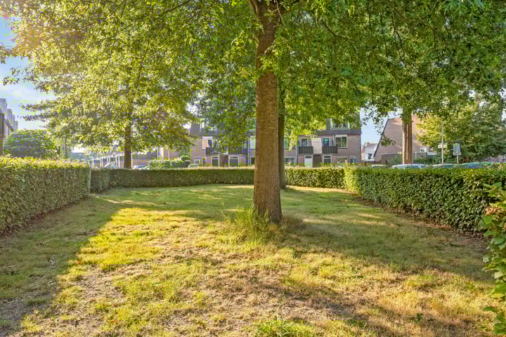 Foto 14 van de Ververt 1042