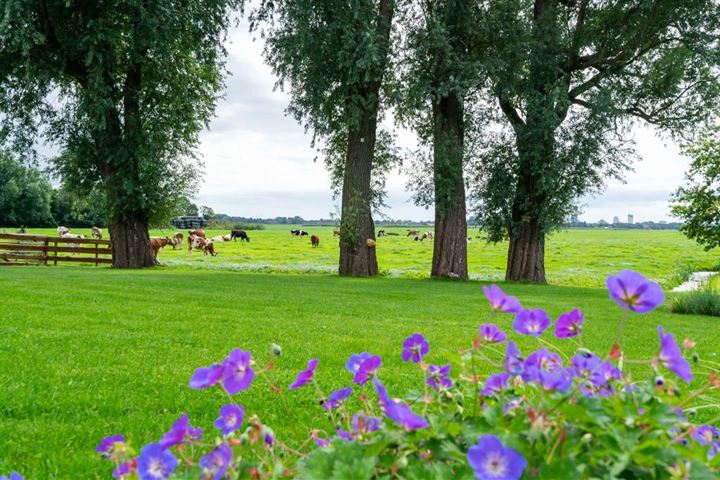 Bekijk foto 12 van Bovenmeerweg 1